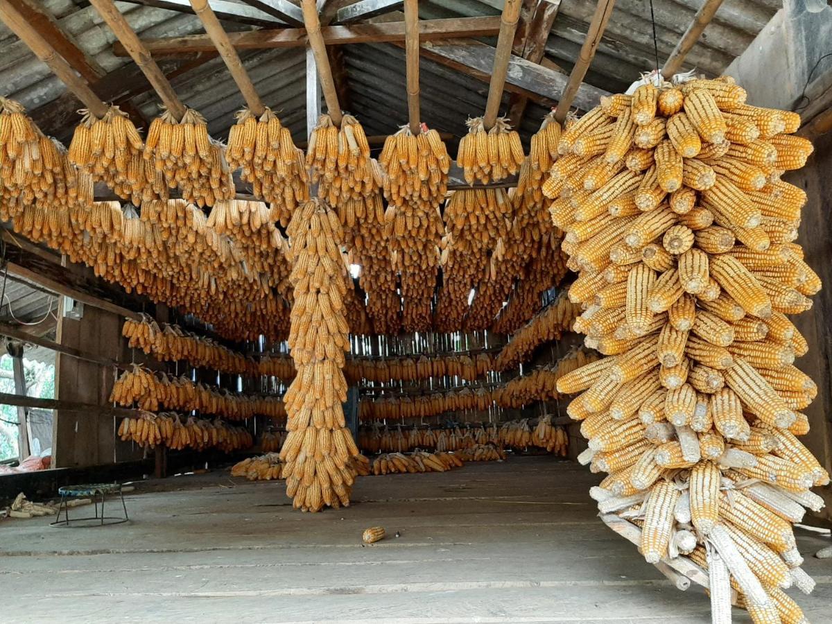 Dong Suoi H'mong Homestay Mu Cang Chai Exterior foto