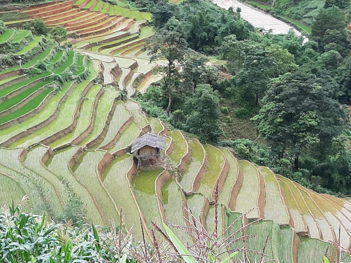 Dong Suoi H'mong Homestay Mu Cang Chai Exterior foto