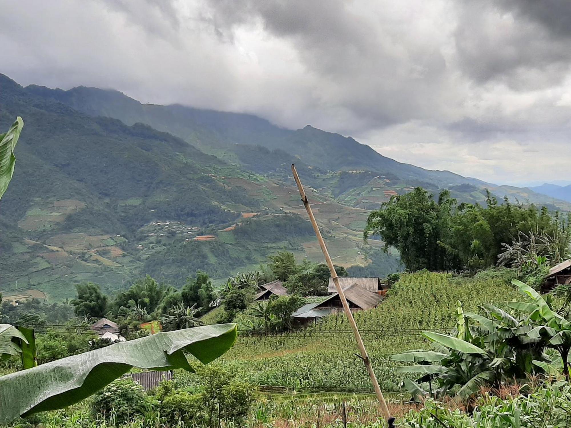 Dong Suoi H'mong Homestay Mu Cang Chai Exterior foto