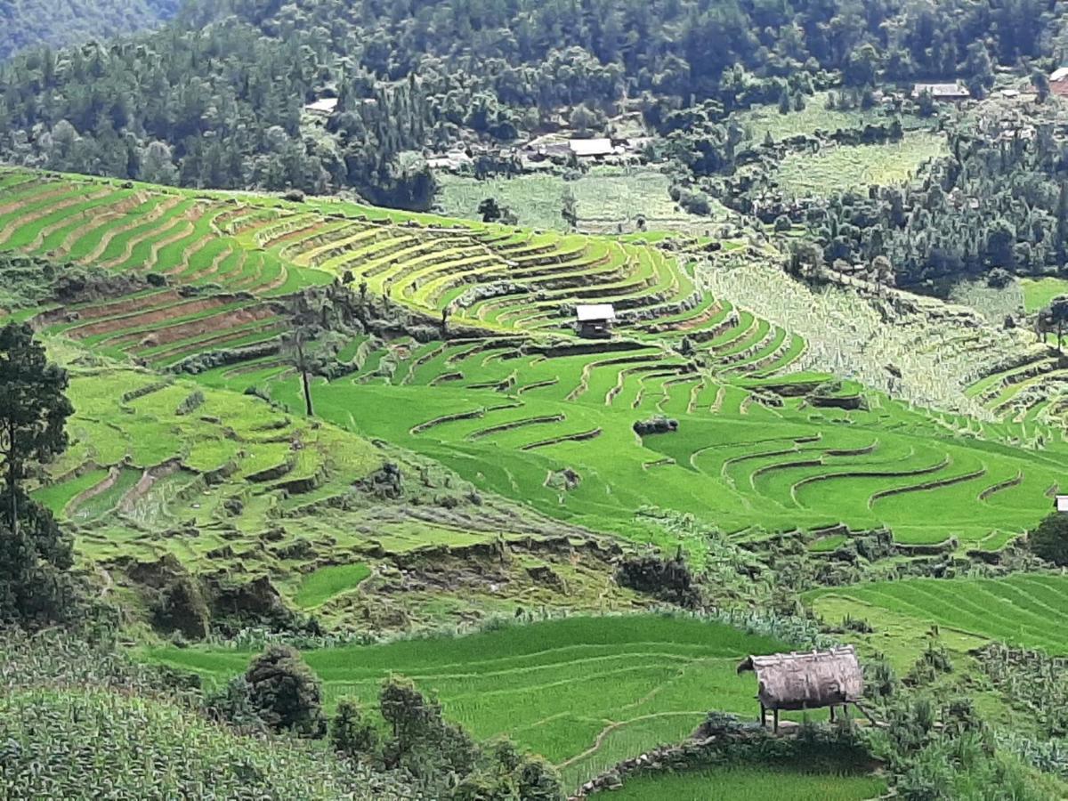 Dong Suoi H'mong Homestay Mu Cang Chai Exterior foto