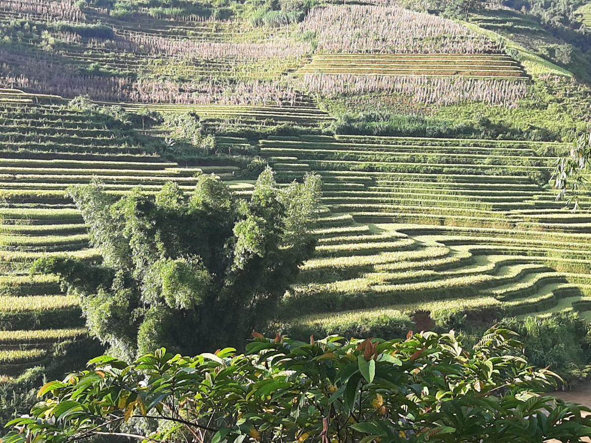 Dong Suoi H'mong Homestay Mu Cang Chai Exterior foto
