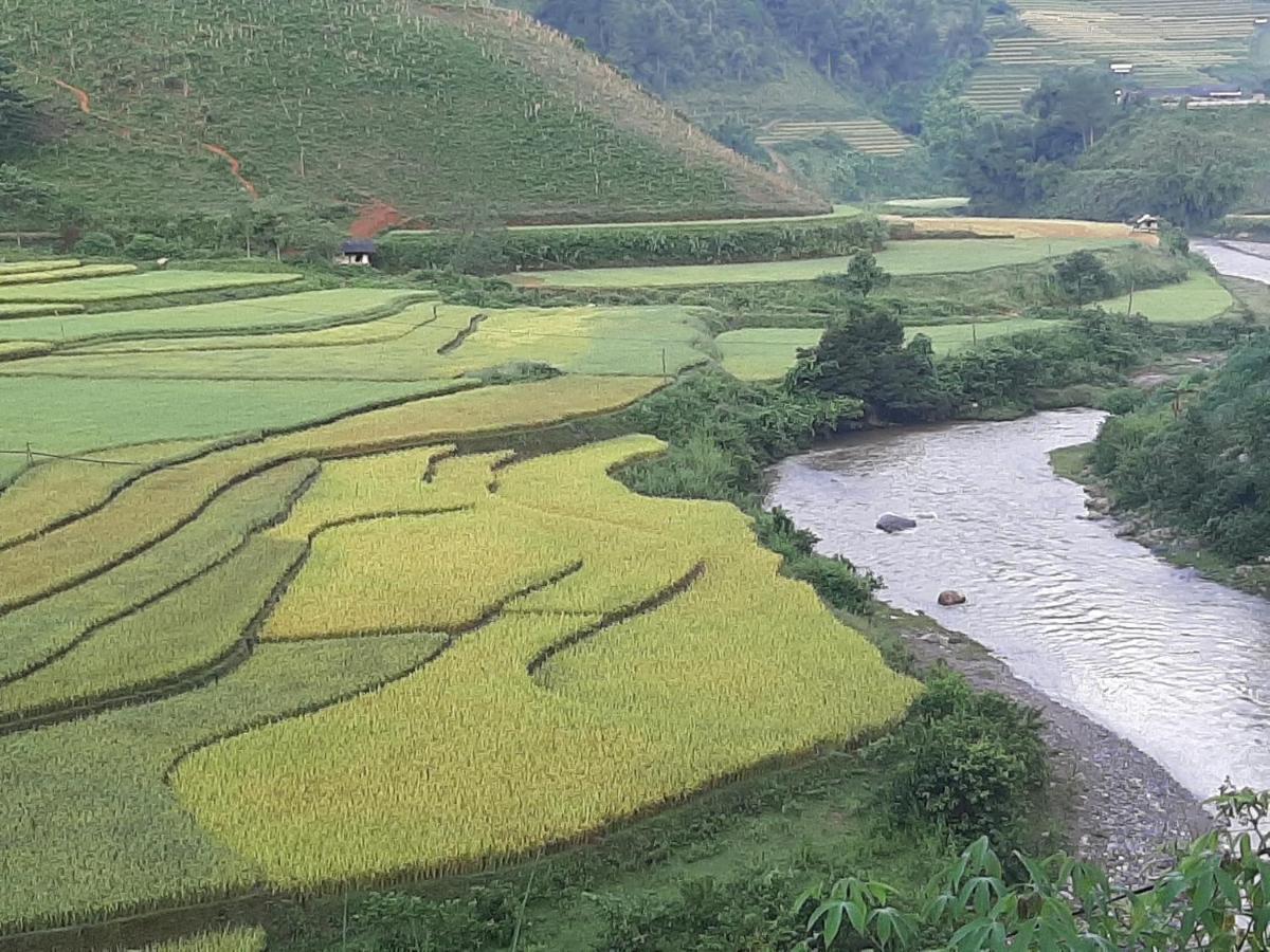 Dong Suoi H'mong Homestay Mu Cang Chai Exterior foto