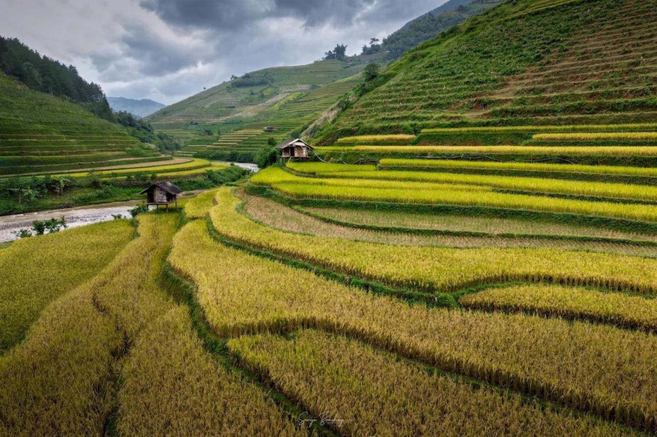 Dong Suoi H'mong Homestay Mu Cang Chai Exterior foto