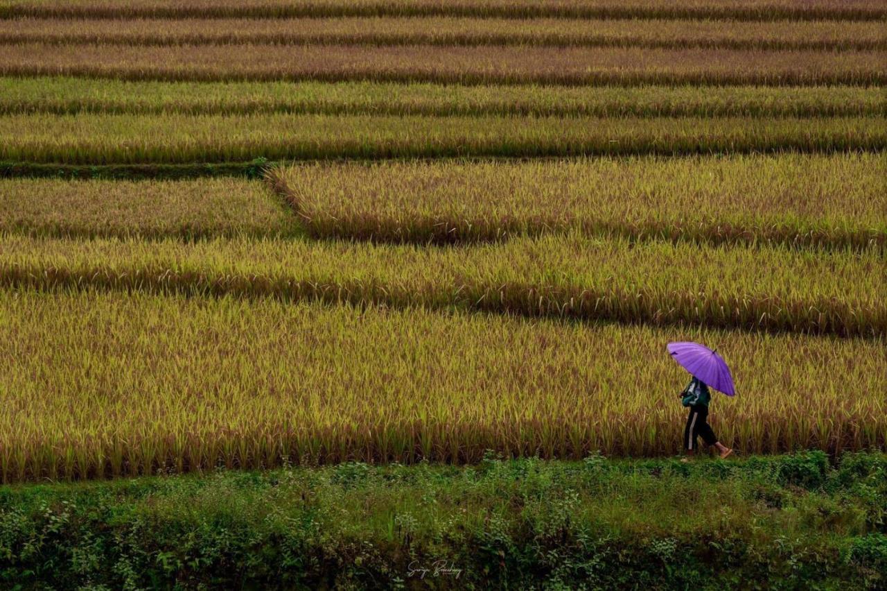 Dong Suoi H'mong Homestay Mu Cang Chai Exterior foto