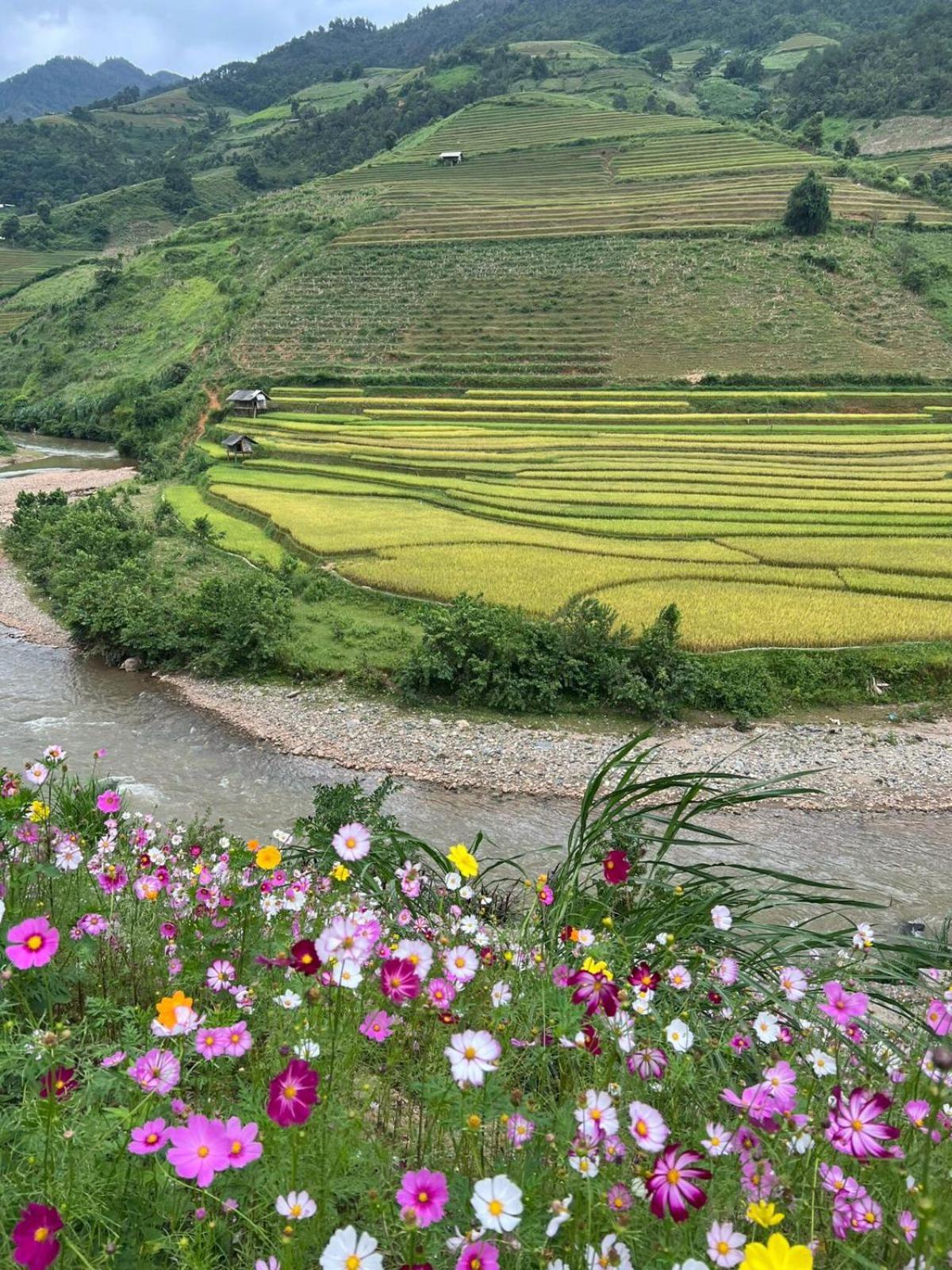 Dong Suoi H'mong Homestay Mu Cang Chai Exterior foto