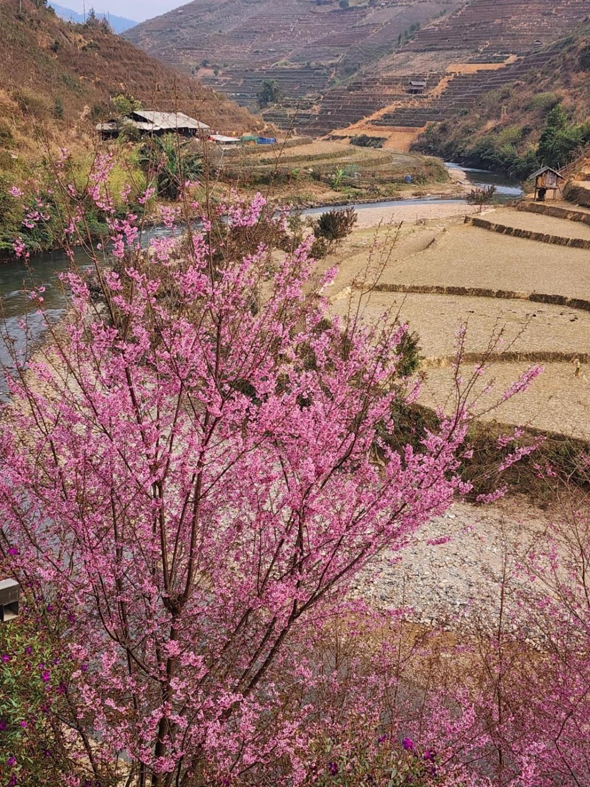 Dong Suoi H'mong Homestay Mu Cang Chai Exterior foto